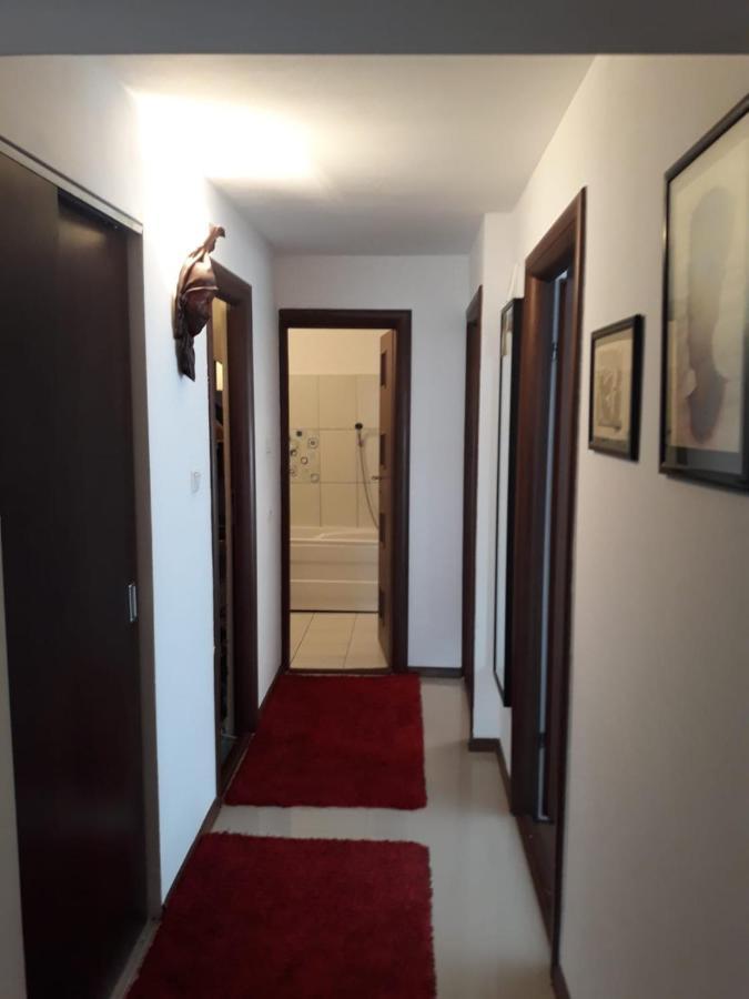 Apartament Alexe Eforie Nord Zewnętrze zdjęcie